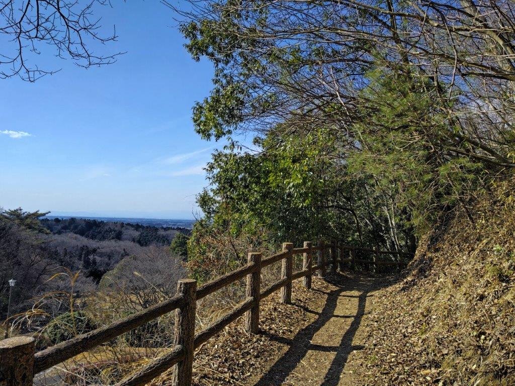 🏞️ 도치기현 중앙 공원 (토치기켄 추오 코엔) 이미지 4